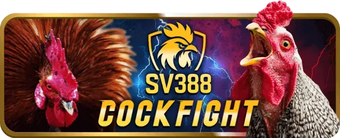 Cá cược thể thao tại k8vina nhà cái
